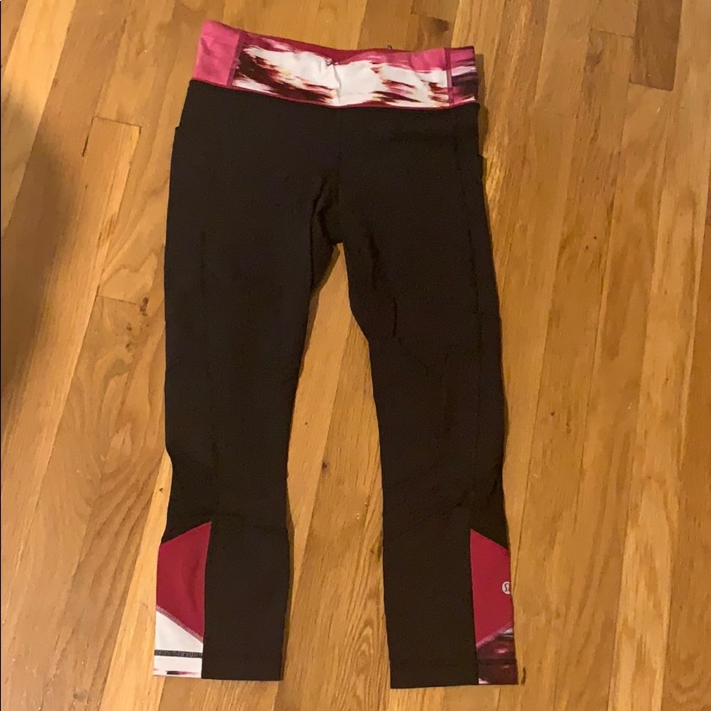 Pace Rival Crop